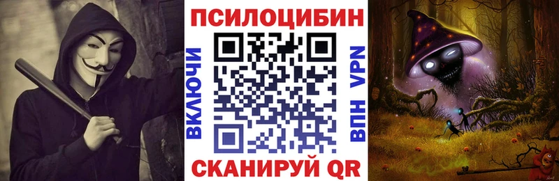 Галлюциногенные грибы Psilocybe Жуковка
